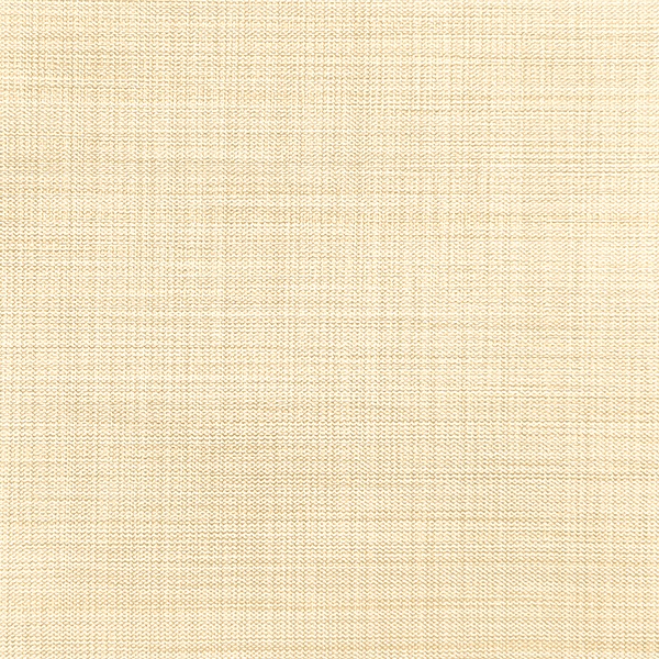 Ткань для рулонных штор на проем Benone 7858 - изображение 1 - заказать онлайн в салоне штор Benone в Долгопрудном